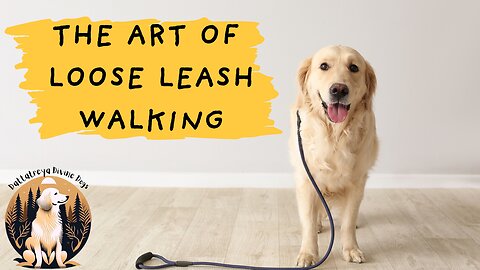 The Art of Loose Leash Walking Workshop