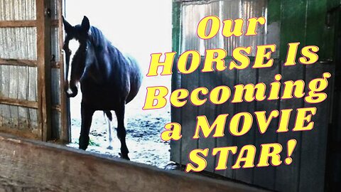 Our HORSE Is GOING To Be In A MOVIE!