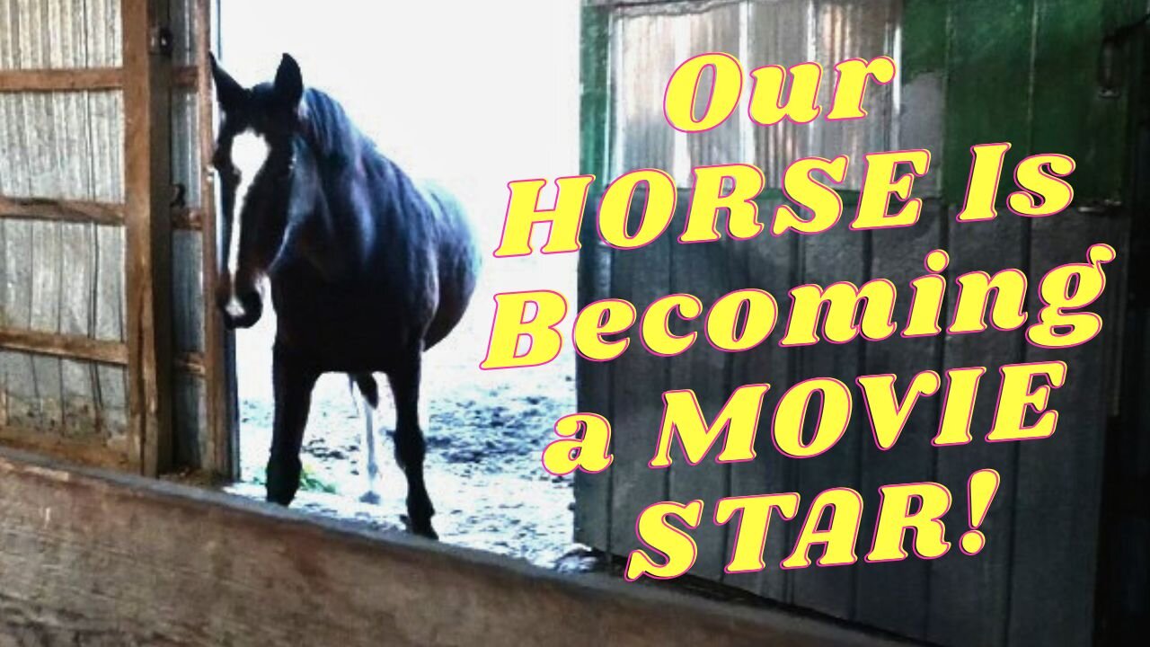 Our HORSE Is GOING To Be In A MOVIE!