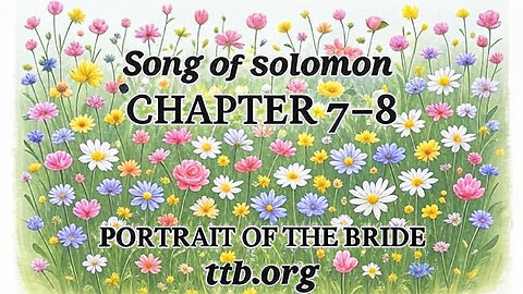 Song of Solomon Chapters 7-8 (Bible Study)
