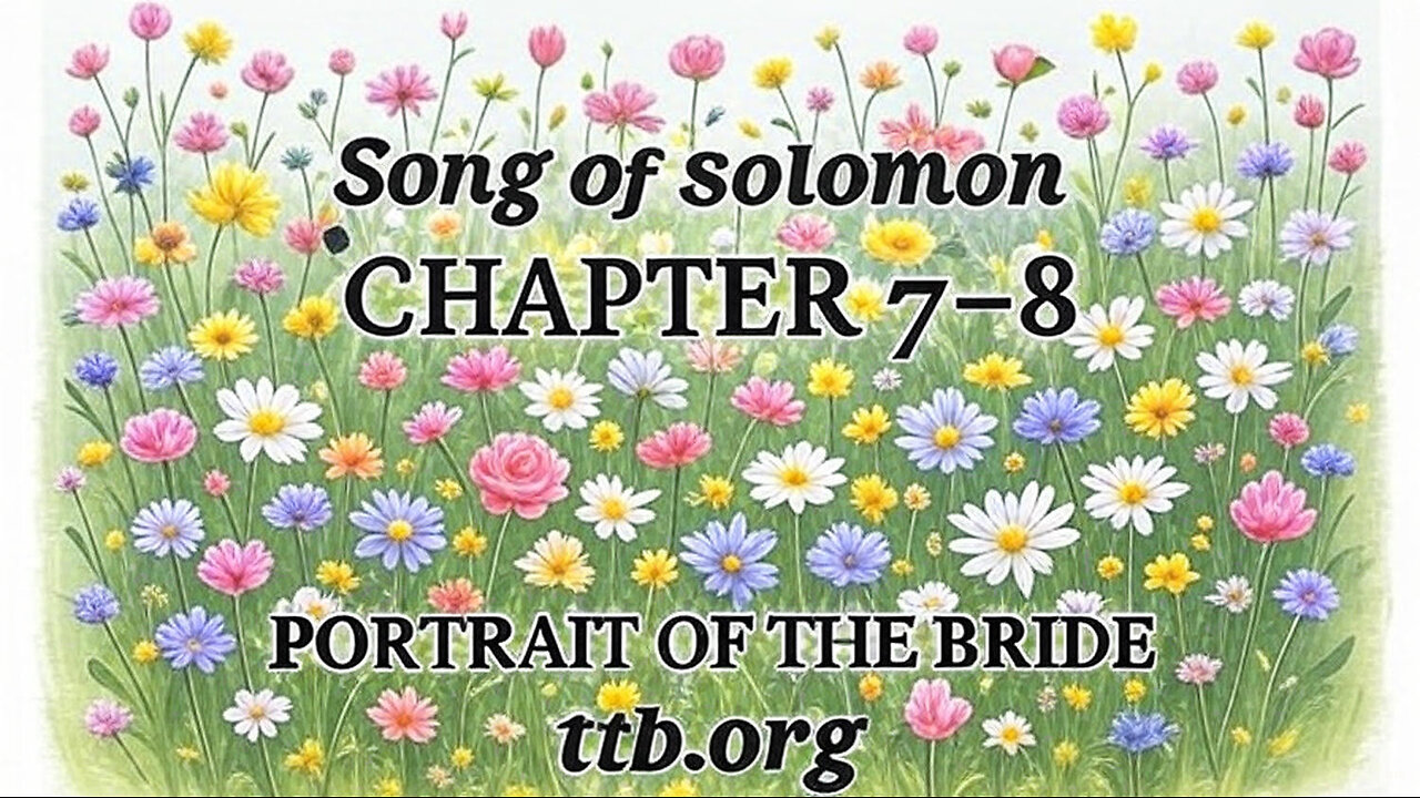 Song of Solomon Chapters 7-8 (Bible Study)