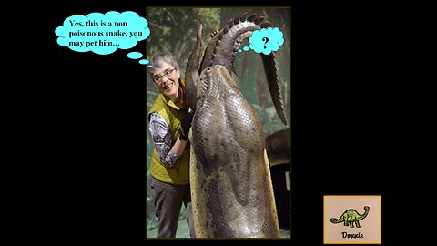 "1,000 Whales, 50 Ichthyosaurs and 28 Giant Snakes!"