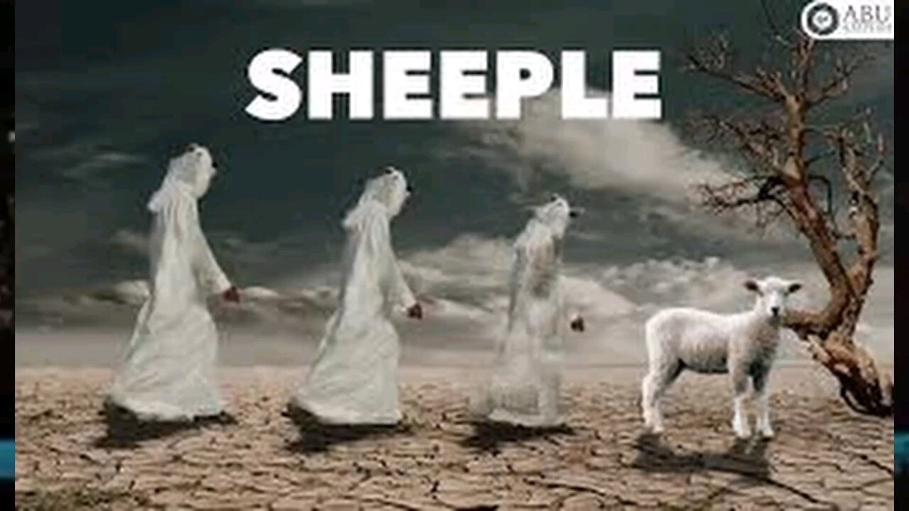 Q Patriot - Election Rigging