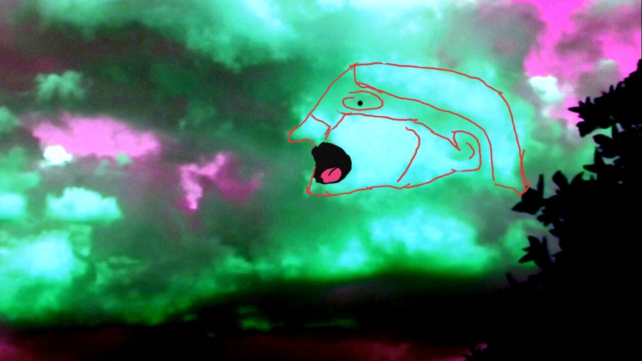 eXercising mY Imaginatural mYnd