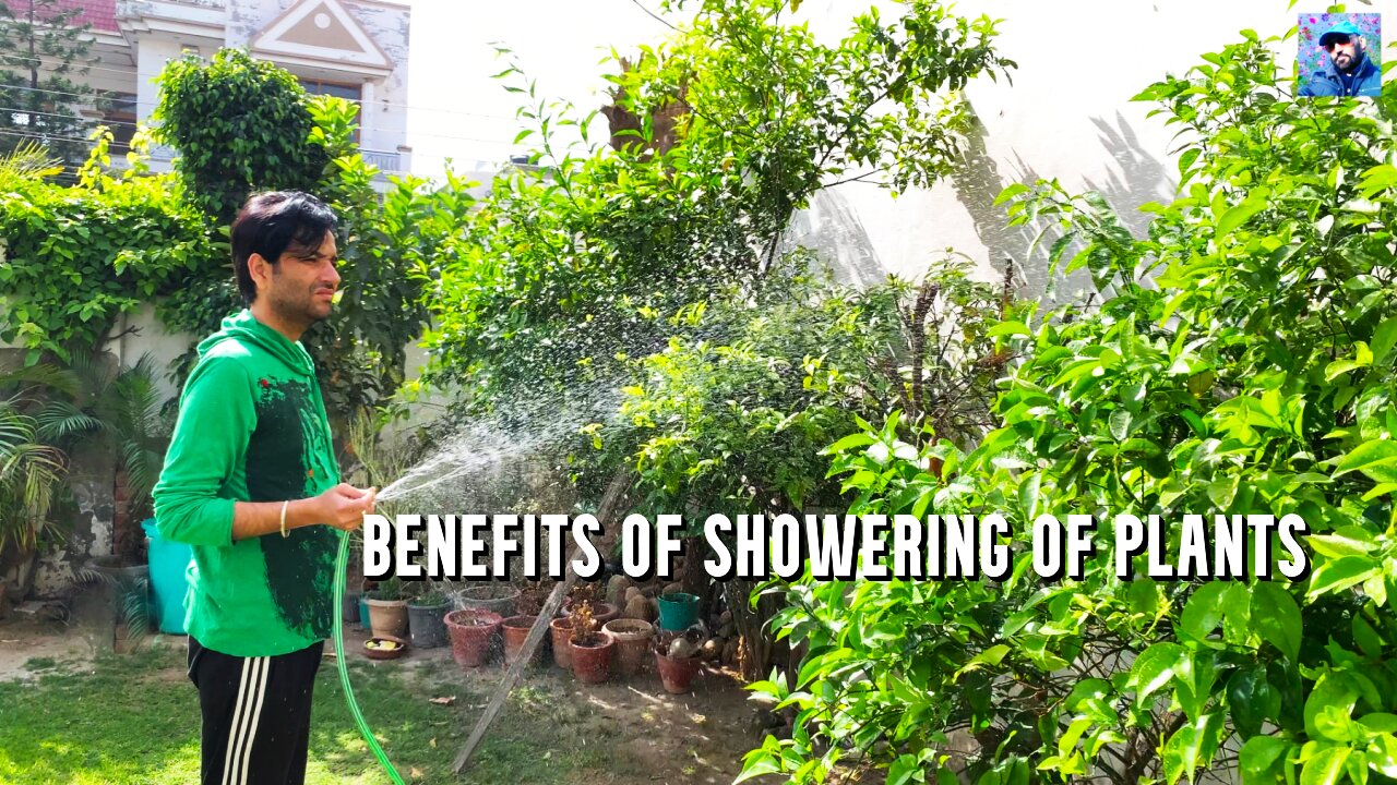 Benefits of showering of plants