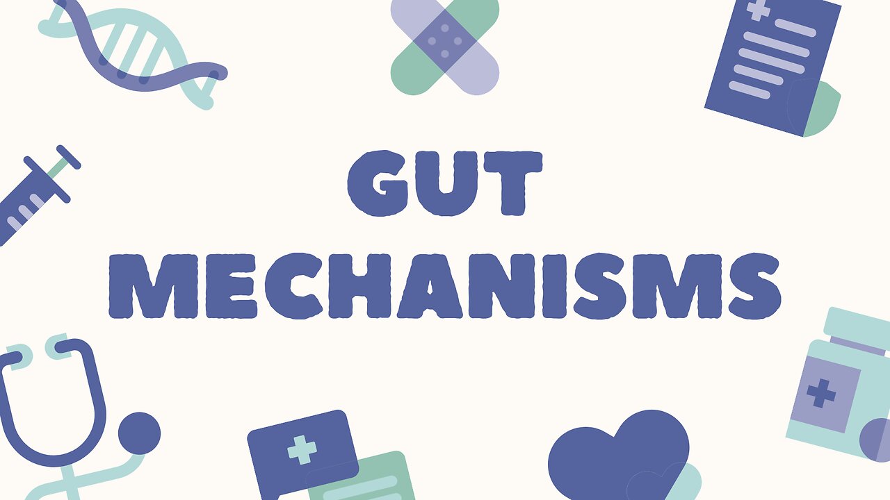 gut microbiome and immune function