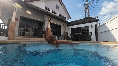 Christmas in Thailand