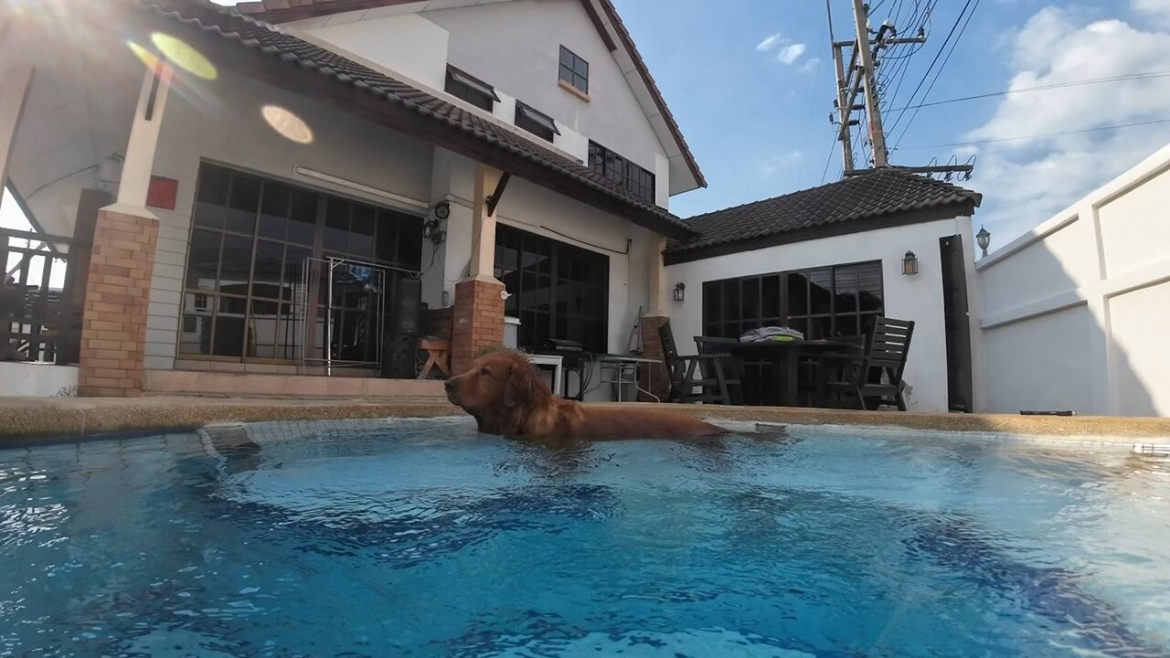 Christmas in Thailand