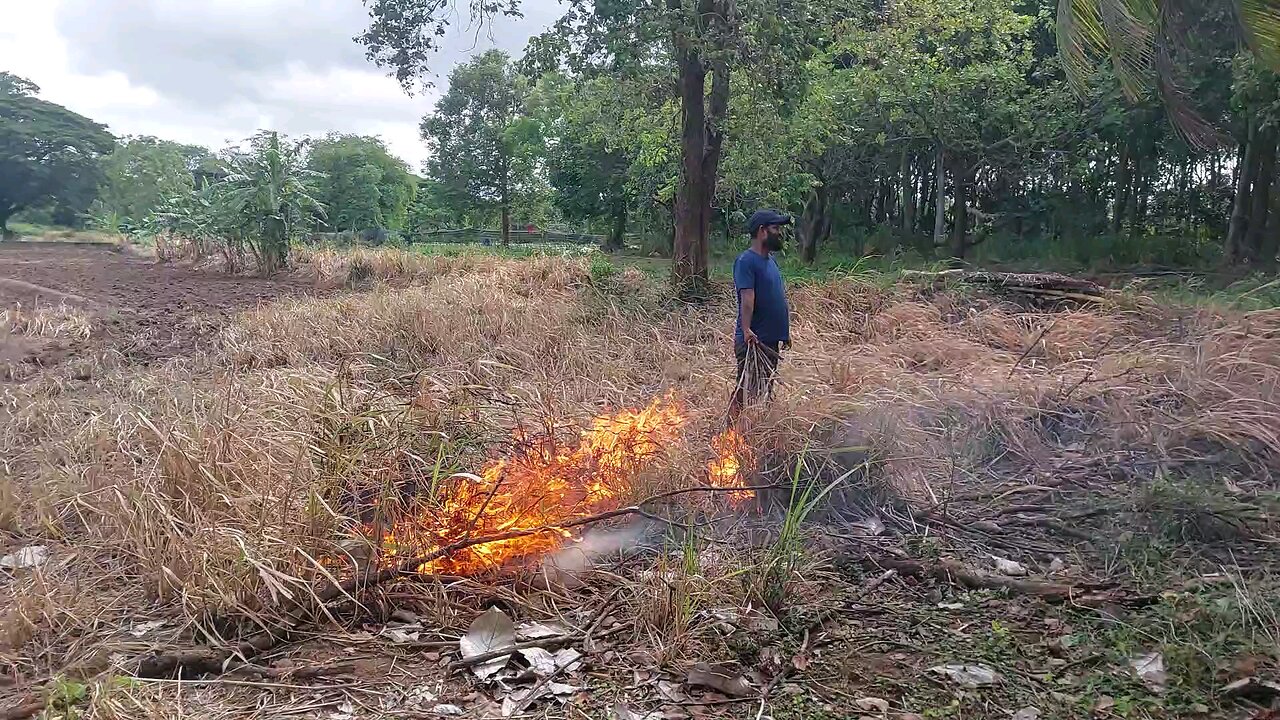 Adventure Life 🌍 | Real Moments from the Wild Side