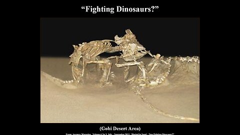 "Fossilized Fighting Dinosaurs?"