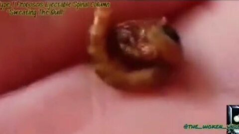 "Unlocking the Mysteries: Understanding the Unique Vril Type-1 Parasite"