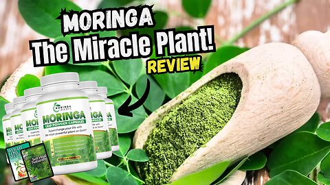 Review Moringa Magic - (CAUTION) - Moringa Magic Honest Review - Moringa Magic Supplement Review