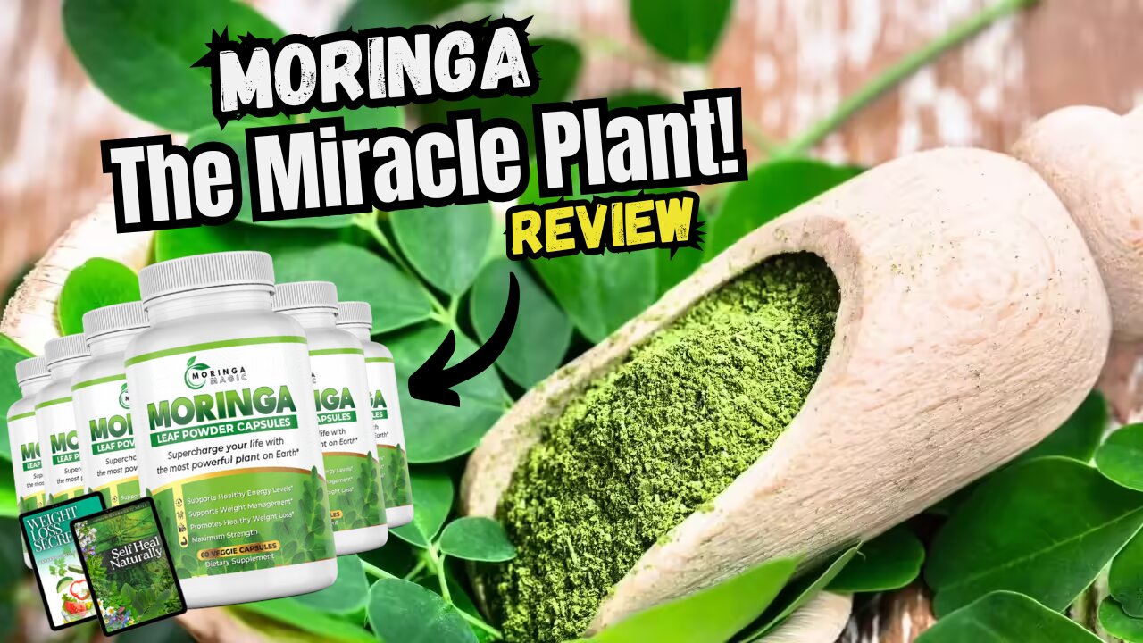 Review Moringa Magic - (CAUTION) - Moringa Magic Honest Review - Moringa Magic Supplement Review