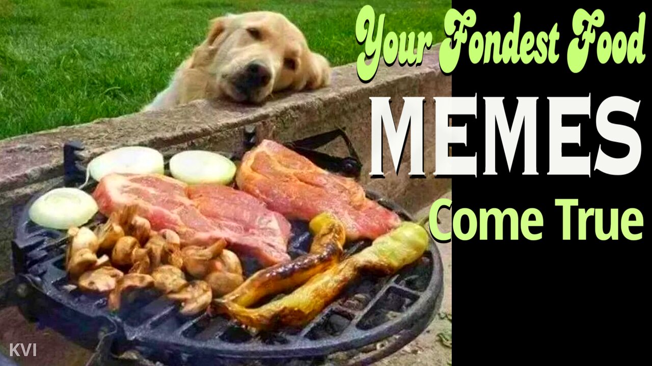 MEMES for a FOOD COMA