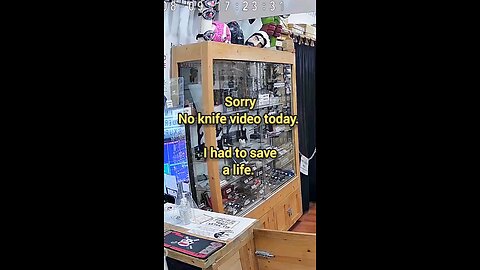 Saving lives and selling knives. #canada #animal #rescue #shorts #fyp #yyj #bird