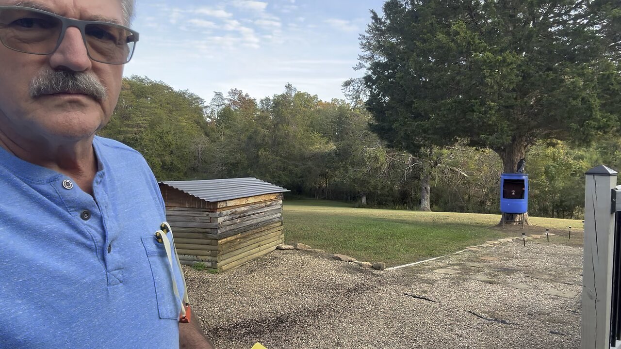 Breaking in a new pheasant head target!