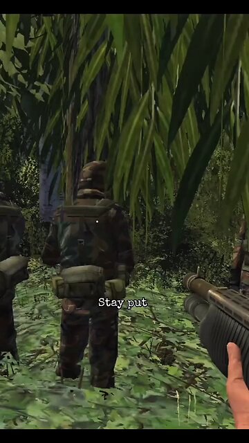 We all fell into an ambush