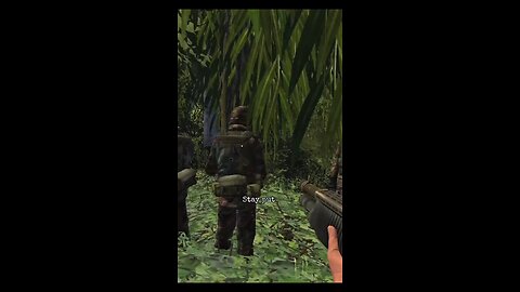 We all fell into an ambush