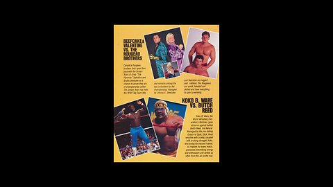 wwf WrestleMania 3 magazine