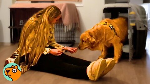 Nervous Dog Finally Comes Out of the Crate to His Family | Cuddle Buddies