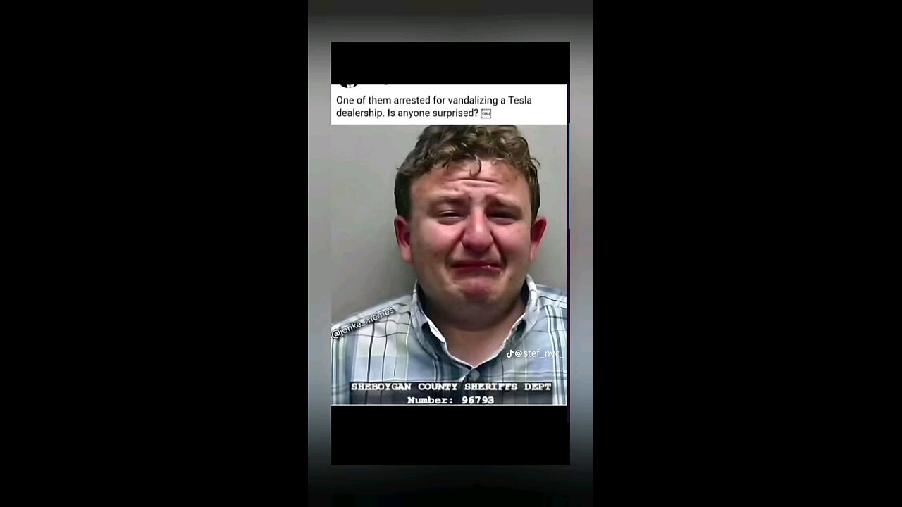 Man who vandalized Teslas cries in mugshot