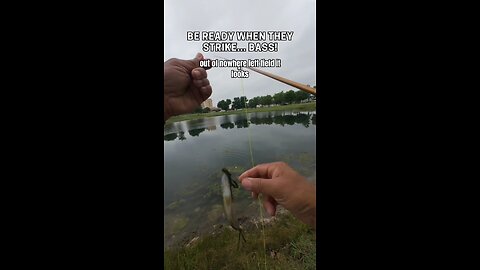 They can strike anytime, be ready ! 😁 #fishing #bassfishing #flyfishing