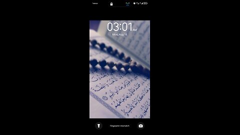 MUFTI MENK
