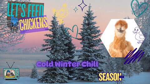 Winter Chill and Cold Dayz | Let's Feed the Chickens | E261
