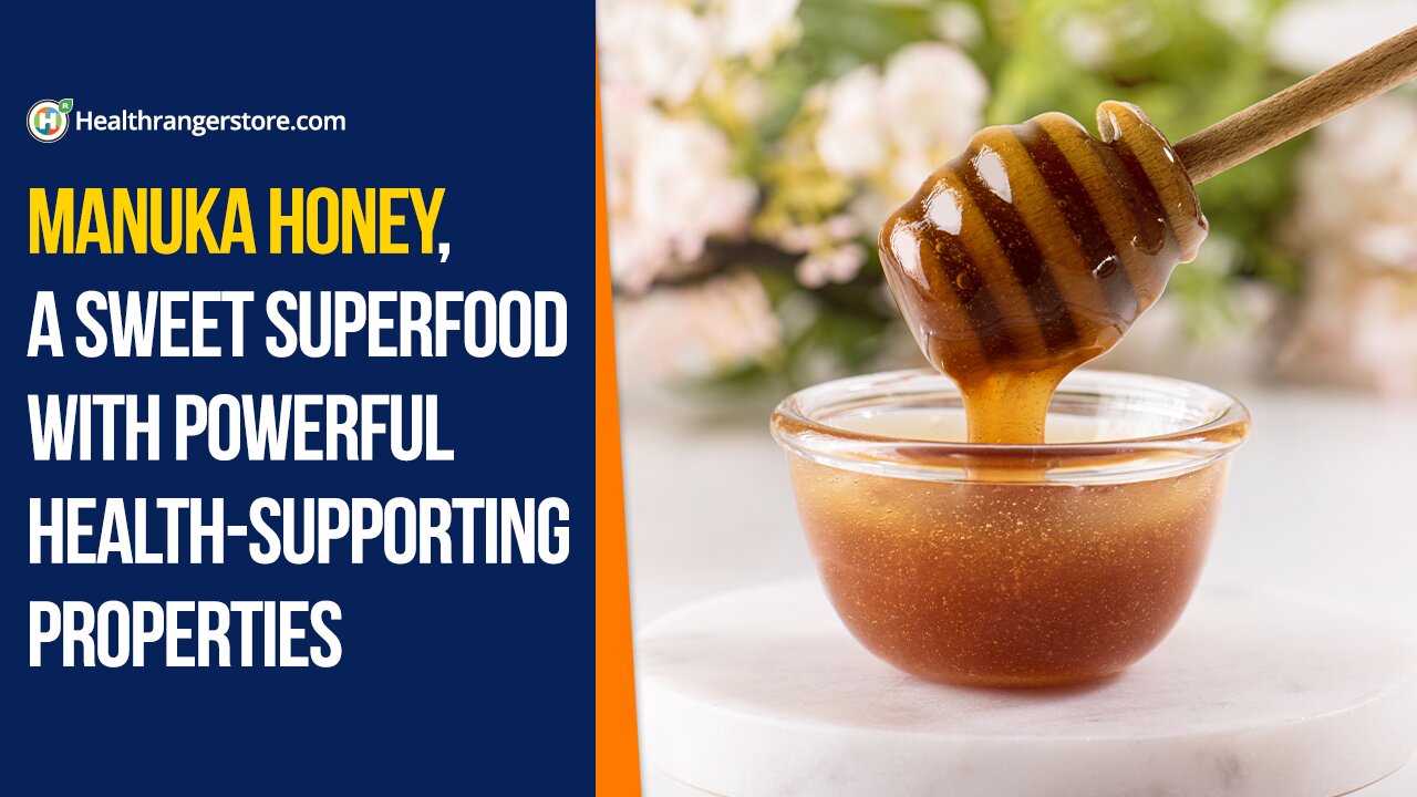 Manuka Honey, a sweet superfood with powerful health-supporting properties