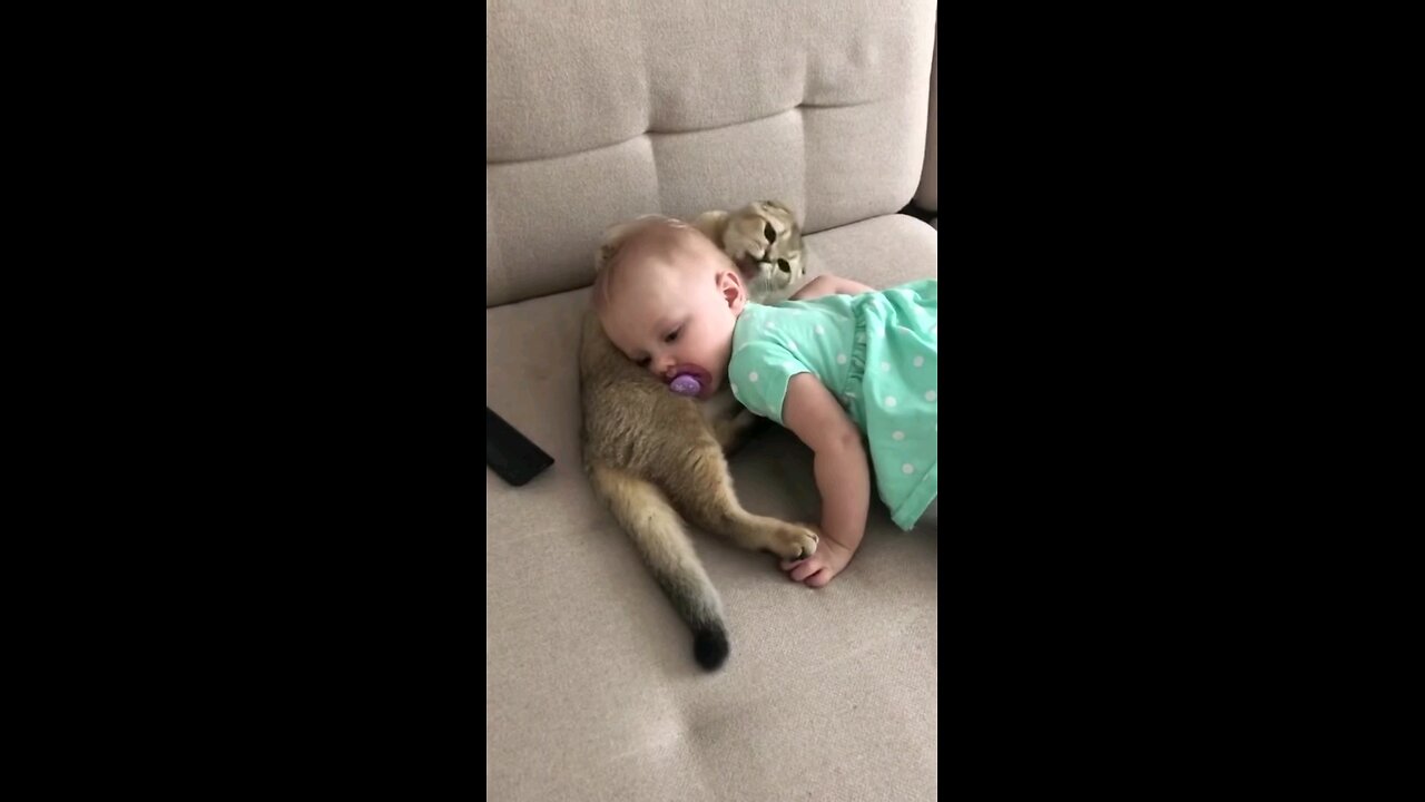 That's so sweet😇😸🤤🐈
