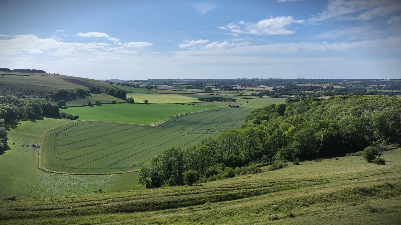 Massive Crop Circle ⭕️| Charlton, Dorset/Wiltshire Border | 23 June 2025 | KAB embedded