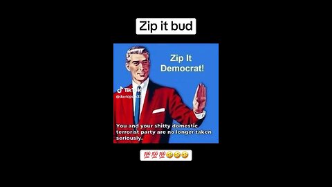 Democrat💩 Domestic Terrorist Party