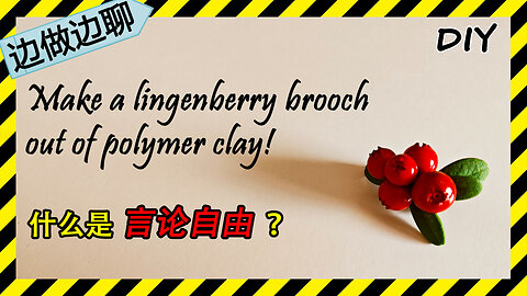 第63期 越橘胸针 2 Issue 63 lingonberry brooch DIY handmade polymer clay tutorial 言论自由 煽动暴力 左派 右派