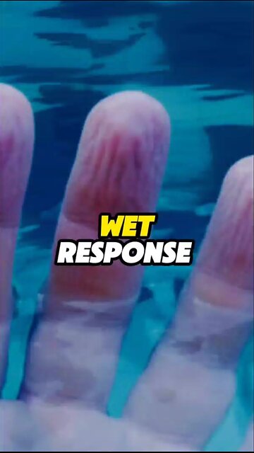 Wet Response