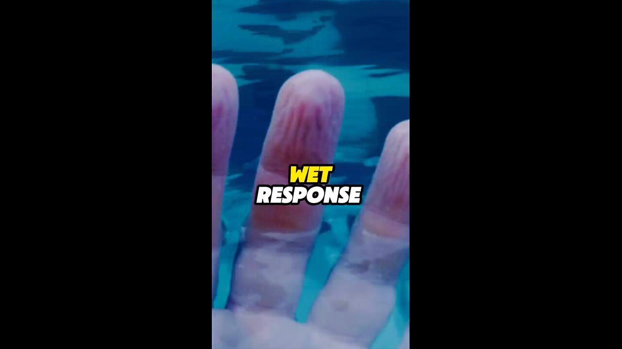 Wet Response