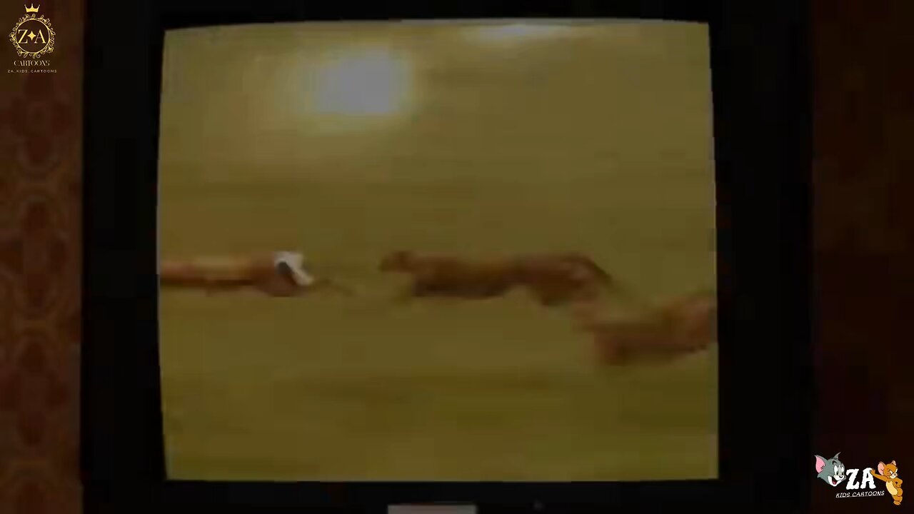 shaun the sheep Cartoons