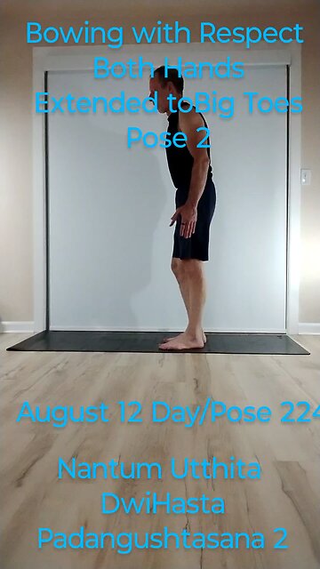 Nantum Utthita DwiHasta Padangushtasana 2 / Nantum Utthita DwiHasta Padangushtasana 2