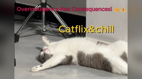 Oops… I Overdid It 😹