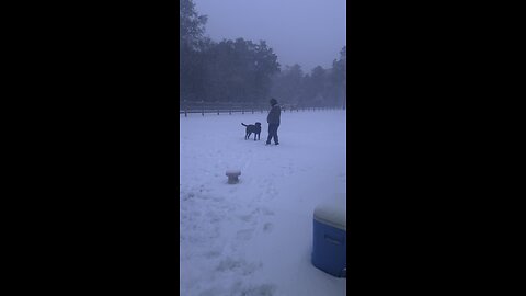 Florida snow in 2025