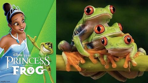 "Deciphering the Mystery of 3 Unclean Spirits Like Frogs: A Dive Into Shaking My Head Productions"