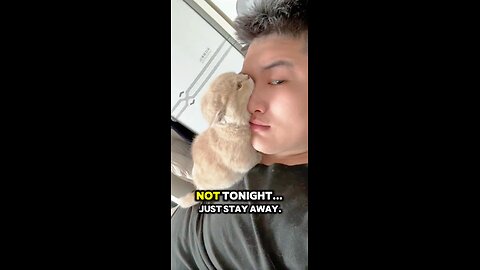 A cat's love never gives up #cat #love #affection