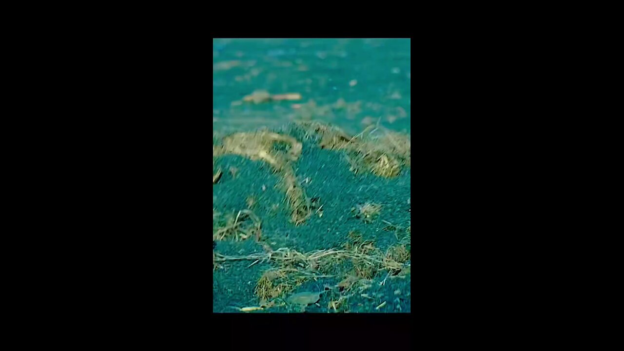 Popular English flim