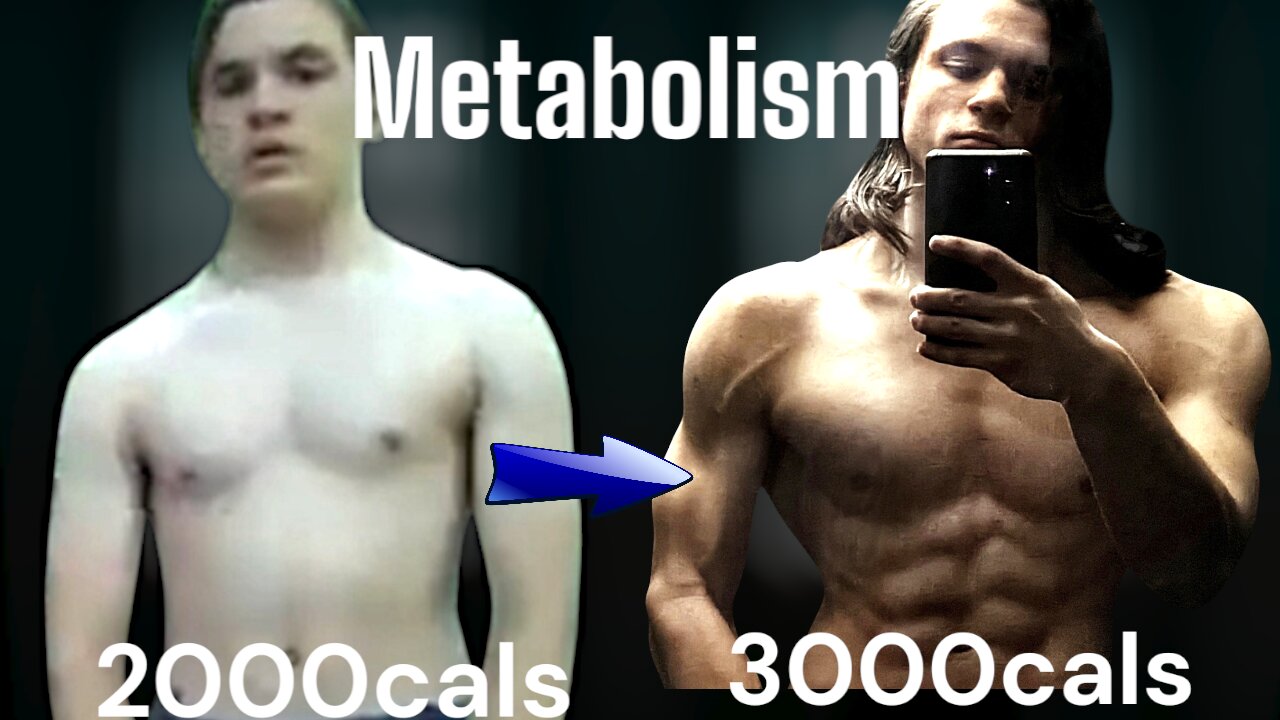 How To Increase Your Metabolism (No BS Guide)