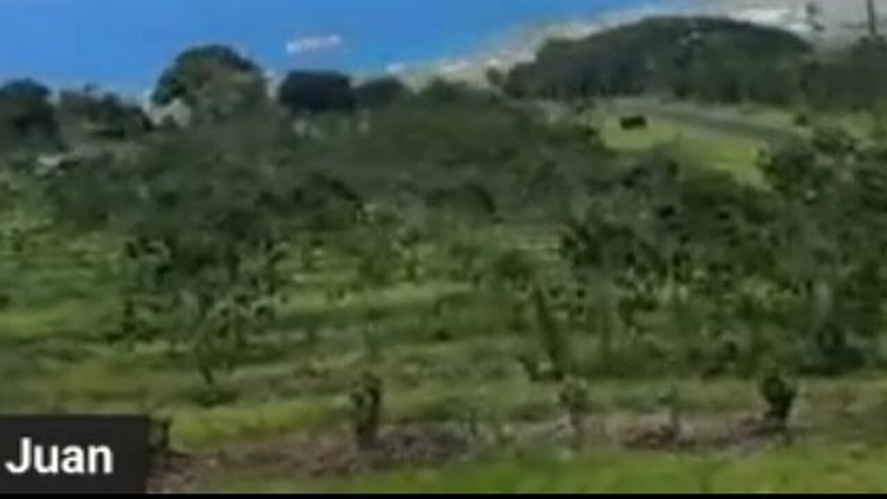 Juan OSAVIN / Update - 4/12/2025 B