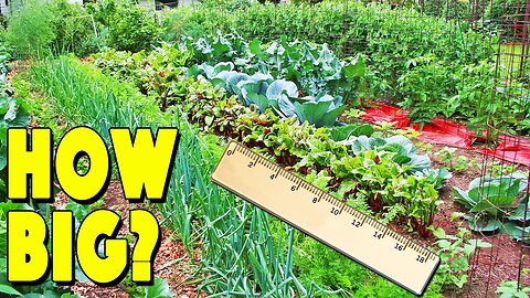 How to Size and Plan a Vegetable Garden ( Self Sufficient )
