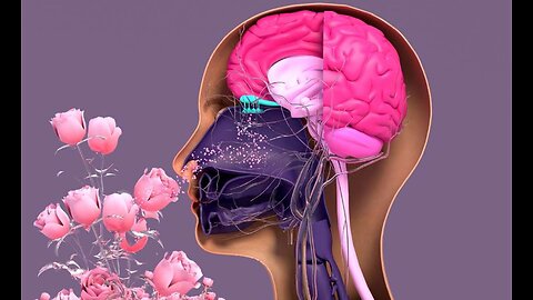 THE SCIENCE OF SCENT