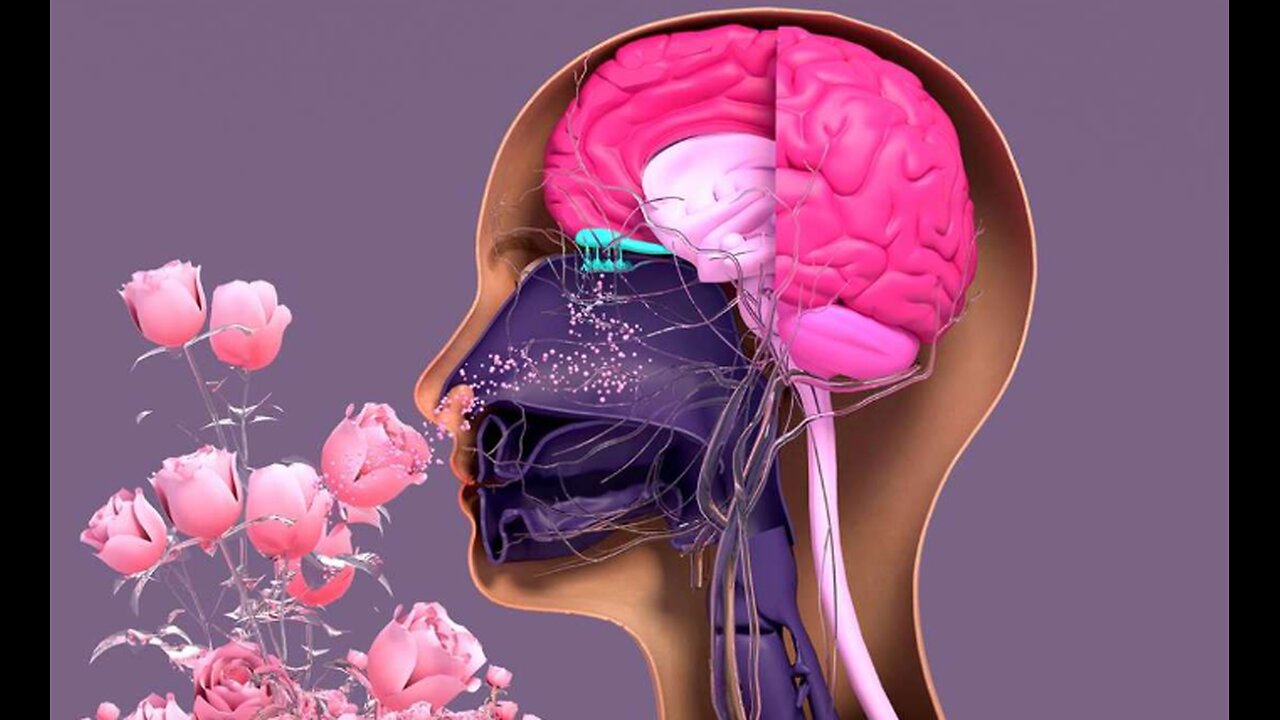 THE SCIENCE OF SCENT