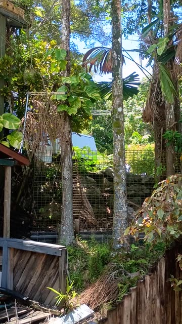 31.12.2025 Out of Control Kuranda