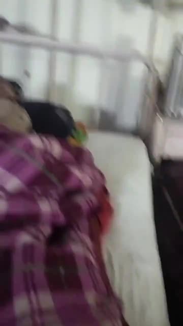 o vetëm ilaçe dhe serume! Pamje të tmerrshme nga India, spitali “pushtohet” nga…minjtë