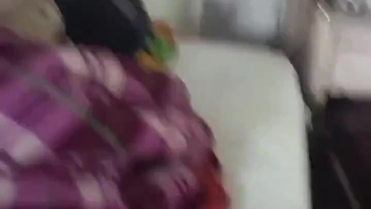 o vetëm ilaçe dhe serume! Pamje të tmerrshme nga India, spitali “pushtohet” nga…minjtë